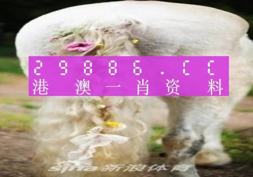 芳草地澳门一肖一码,决策资料解析说明_限定版63.45