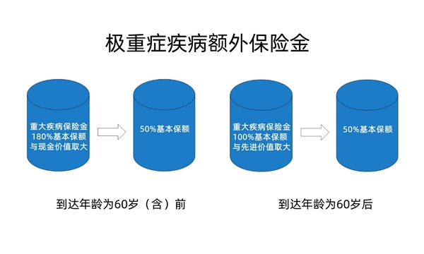 香港最准100%一肖中特特色介绍,实效设计计划解析_进阶版60.314