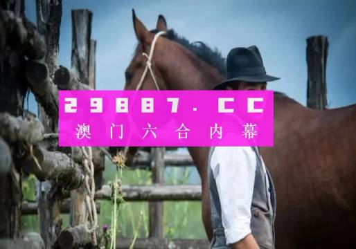 新澳门精准一肖一码,实地计划验证策略_户外版66.301