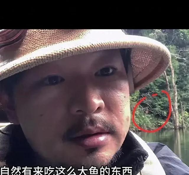 哀牢山诡异事件真相揭秘，十大未解之谜探究