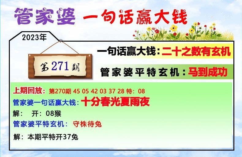 管家婆一肖一码100正确,快速解答方案执行_S99.888