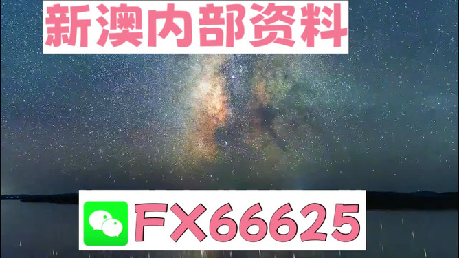 新澳天天彩资料大全最新版本,权威说明解析_MT63.357