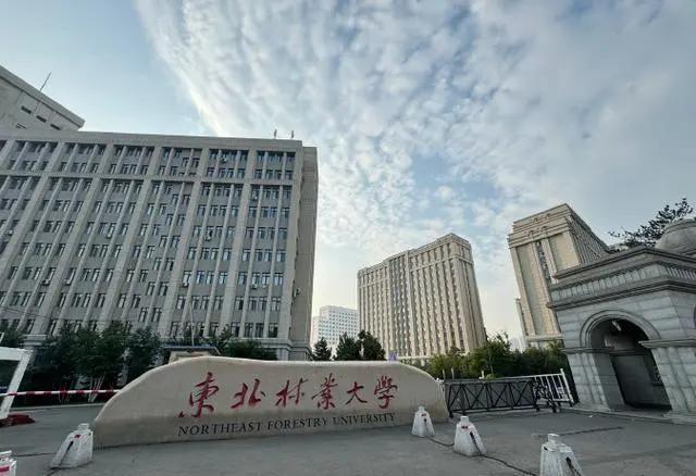 东北大学自动化考研，探索未来挑战之路