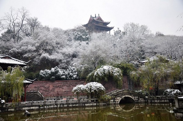 武汉冬日雪舞，惊喜与独特韵味绽放之时