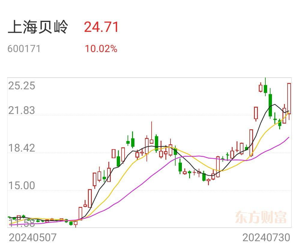 上海贝岭，数字集成电路领域的领军企业探索