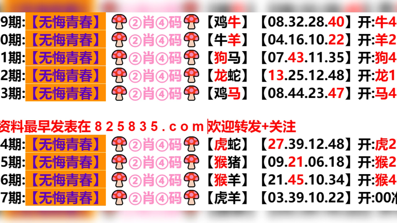 2024新奥门精准一肖一码,稳定性策略解析_限定版14.751