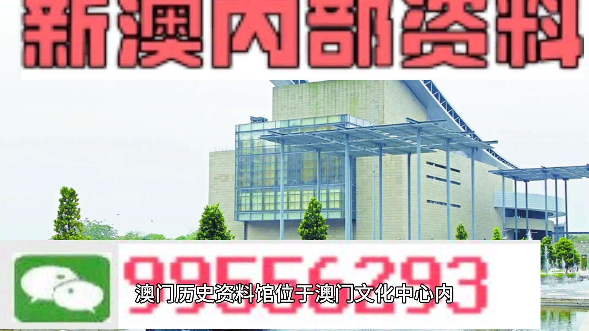 新澳门资料全年免费精准,理念解答解释落实_钻石版26.118