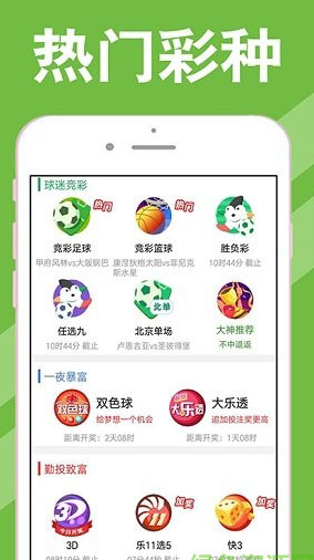 2024年新澳门天天开彩,调整方案执行细节_app96.265