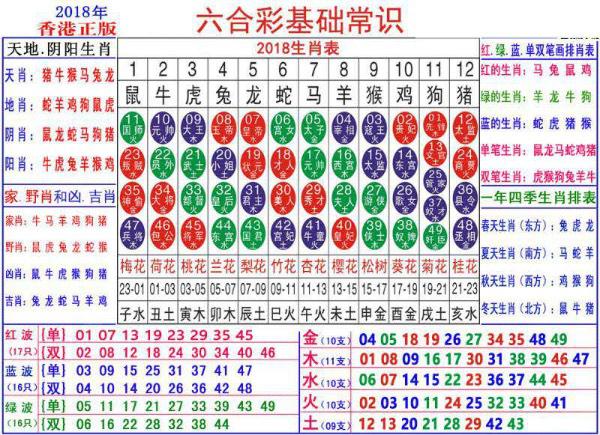 澳门正版资料大全资料生肖卡,高速响应计划实施_顶级款63.21