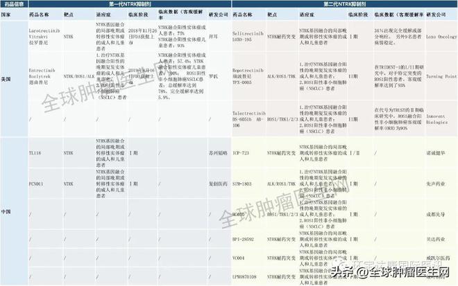 新澳门一肖中100%期期准,专业解析评估_Elite87.723