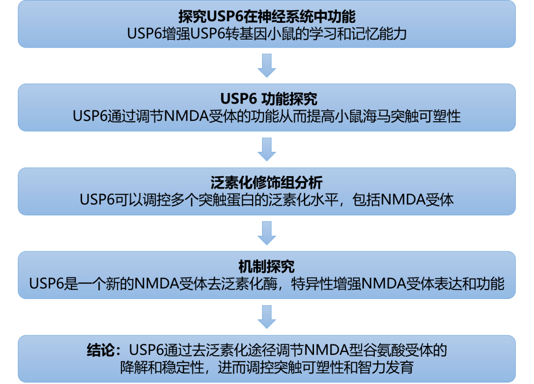 2024新澳免费资料大全penbao136,高速响应策略解析_动态版34.535