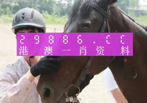 澳门小马哥一肖一码100,收益成语分析落实_4K版20.983