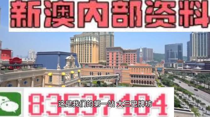 2024新澳精准正版资料,精细方案实施_潮流版91.813