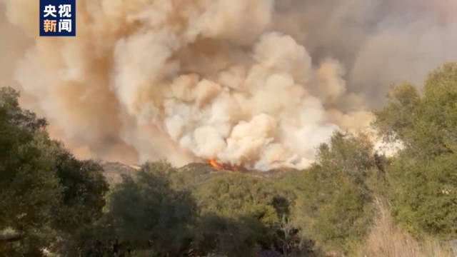 洛杉矶山火亲历者的灾难体验与感悟，山火中的生死瞬间