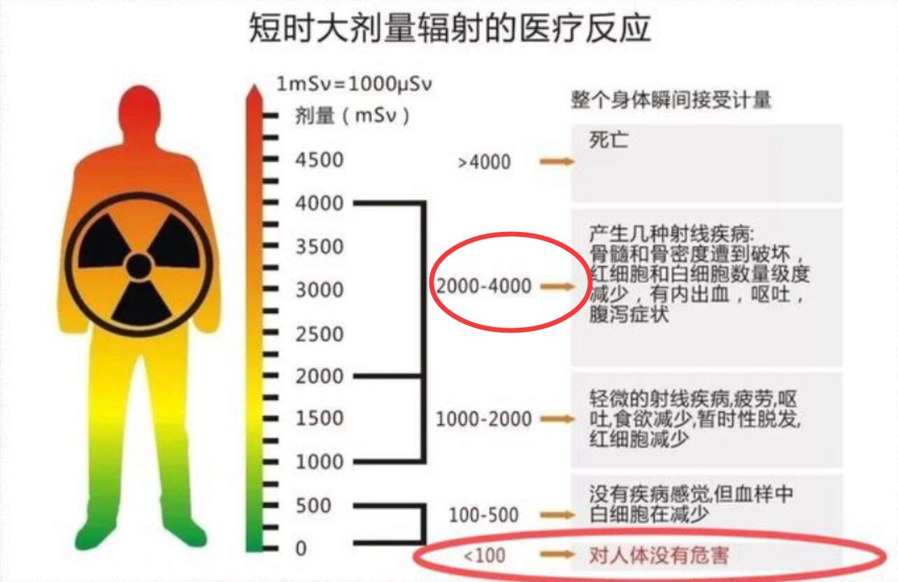 镭的作用及潜在危害解析