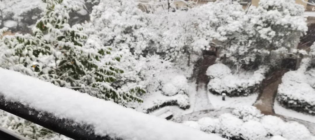 今冬最强雨雪来袭，应对与反思