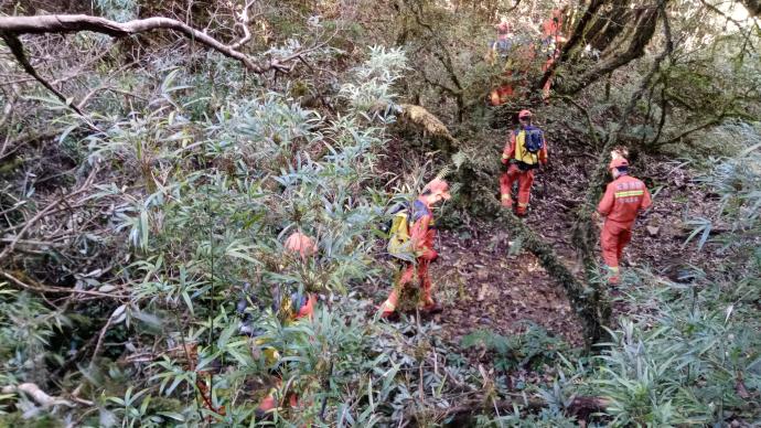 道士视角下的哀牢山，自然与文化神秘交融之地