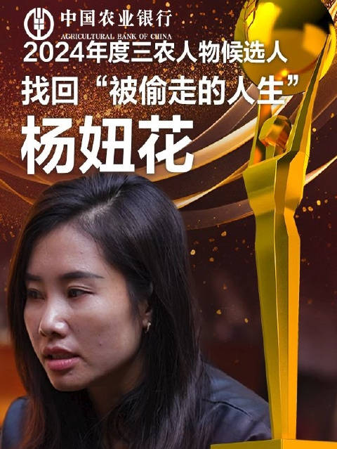 杨妞花事件深度解析，来龙去脉揭秘