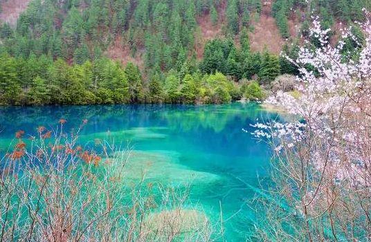 九寨沟景区推出优惠，四十岁以上游客免费畅游景区