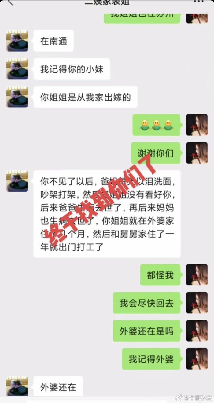 杨妞花的寻亲之路，温情与坚韧的聊天记录之旅