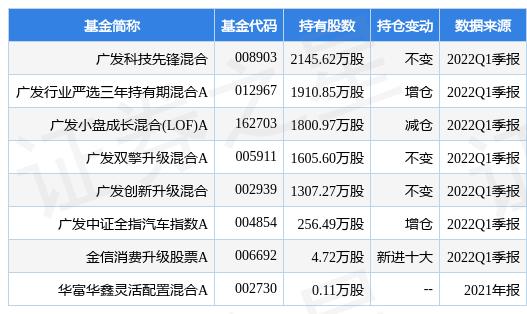 赛力斯股票深度分析与展望，是否值得继续持有？