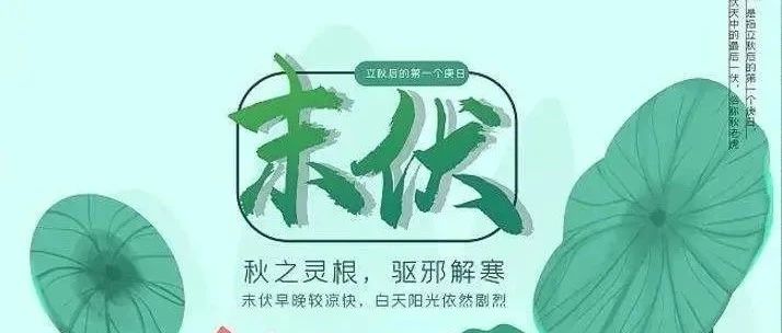 末伏什么意思啊