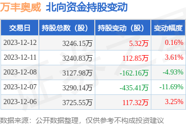 万丰奥威季报最新消息全面解读