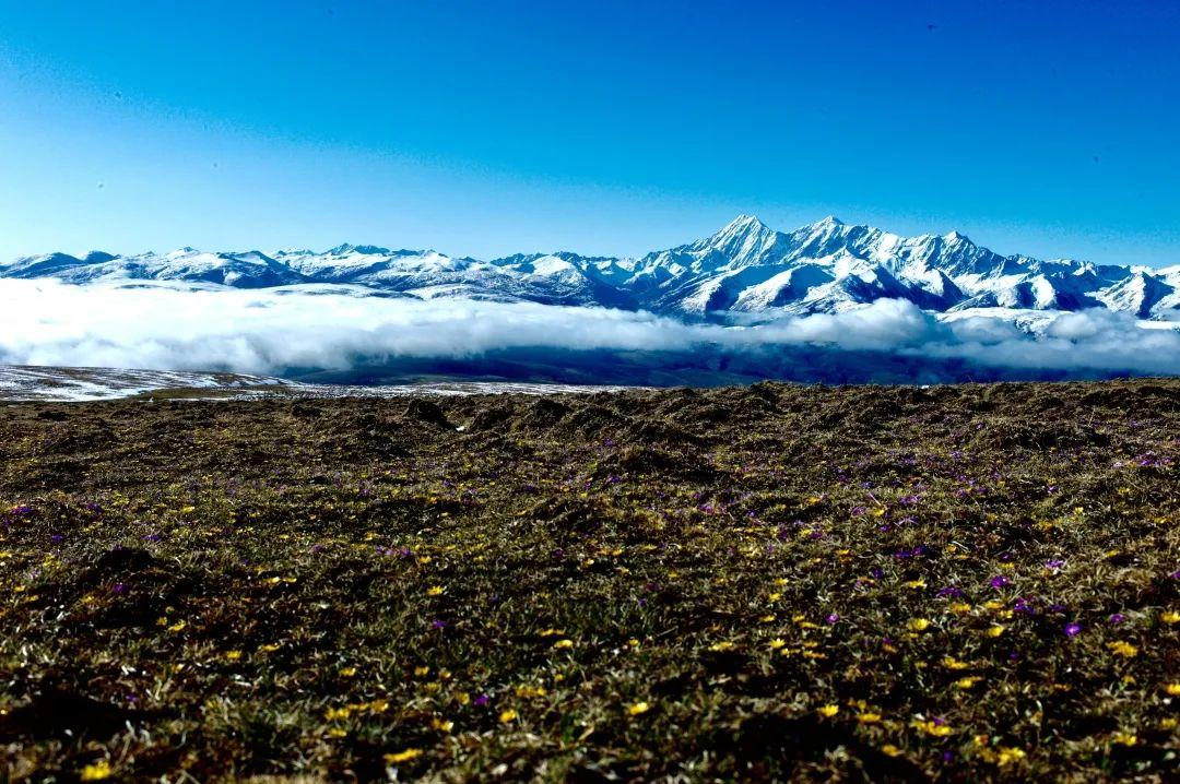 甘孜雪山遇难者的故事，中学体育老师的生命赞歌