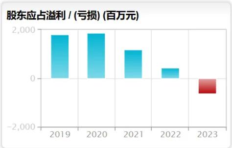 港股明星股深度解析，聚焦公司01252的独特优势与挑战