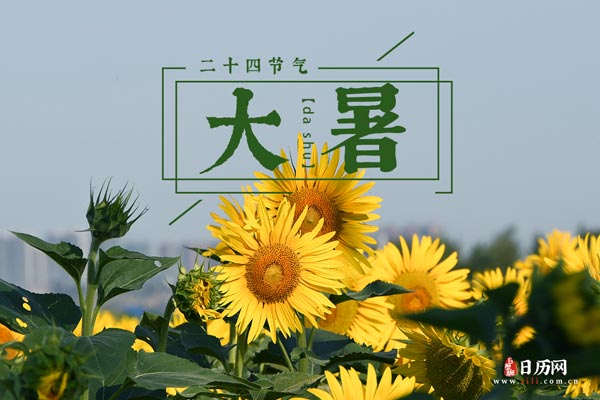 大暑节气，探寻夏季炎热的极致