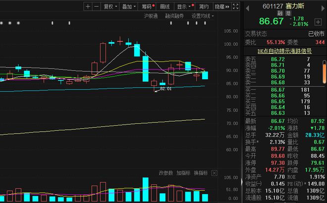 赛力斯股票，投资潜力与市场前景深度解析