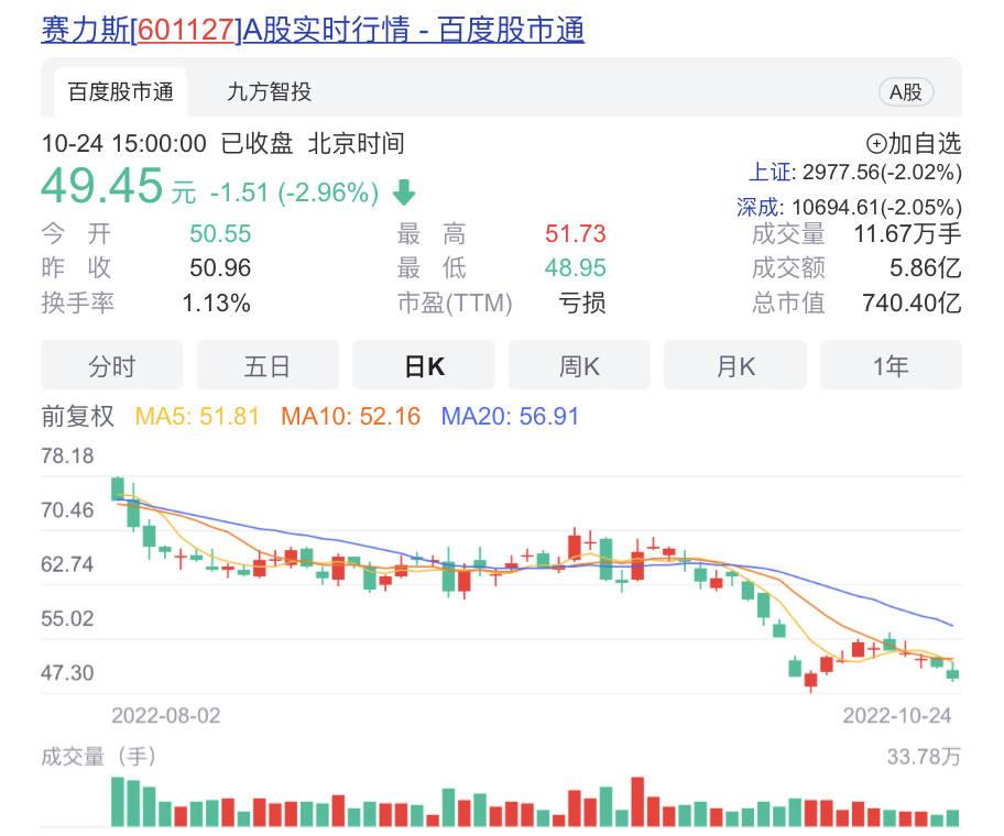 赛力斯 股票