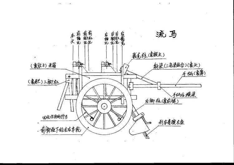 克罗斯沙巴加怪兽的神秘外貌特征探秘