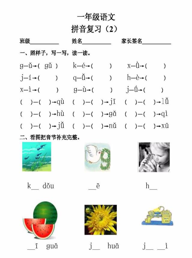 椰的拼音及相关探讨概述