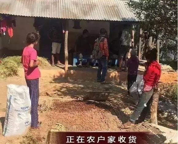 东北小伙陷入旅游陷阱，缅东惊魂之旅