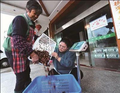 常州月子中心集体跑路事件，行业乱象引发深度反思