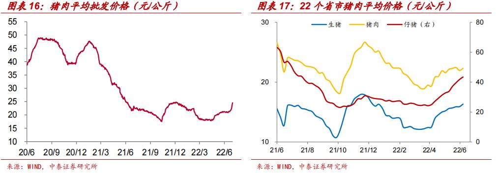 温氏股票投资潜力深度解析与市场洞察