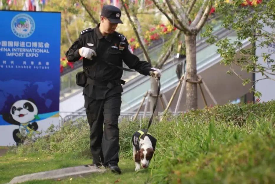 警犬幺幺零，一岁成长路上的荣耀与历程