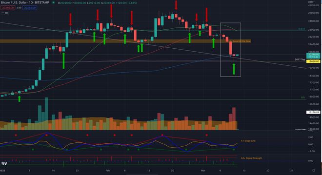 BTC价格今日行情深度剖析