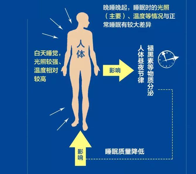 现代生活的平衡之道，偶尔熬夜也能保持规律作息的探索