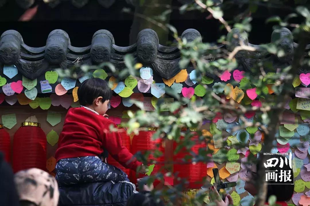 成都神秘夜空，探索不明发光物的背后真相