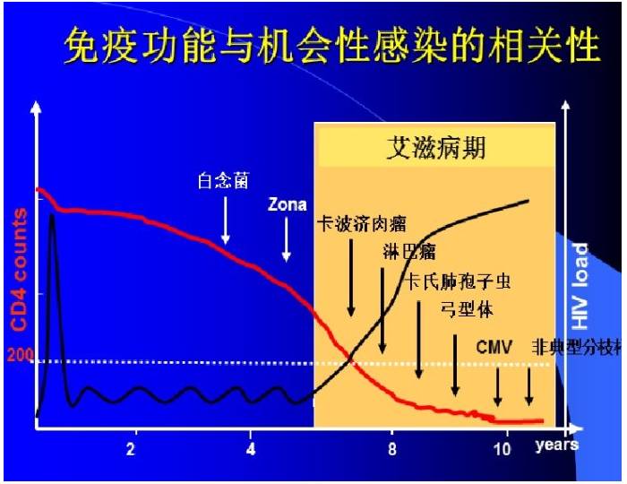 蔡磊身体机能下降，挑战与希望交织之际