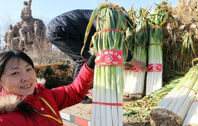 寒露之古韵，古代称谓与意境探究