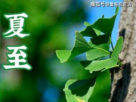 揭秘夏至之日的奥秘，探寻2024年夏至的天数