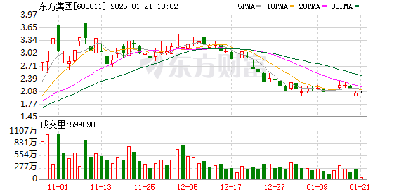 东方集团股东深度探究