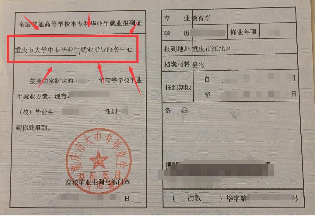 如何填写教师资格名称，解析与指导手册