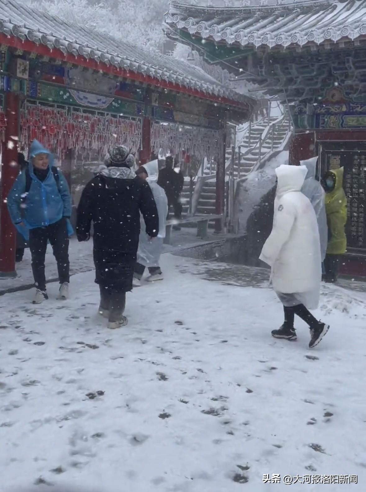 洛阳大雪纷飞，城市银装素裹