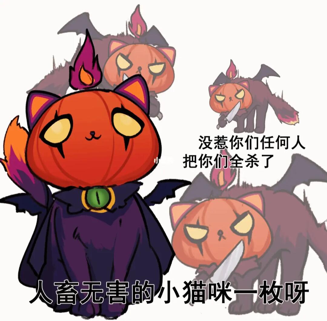 巫师猫表情包，魔法与趣味的极致融合