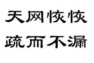 天网恢恢疏而不漏，来源与深层含义解析