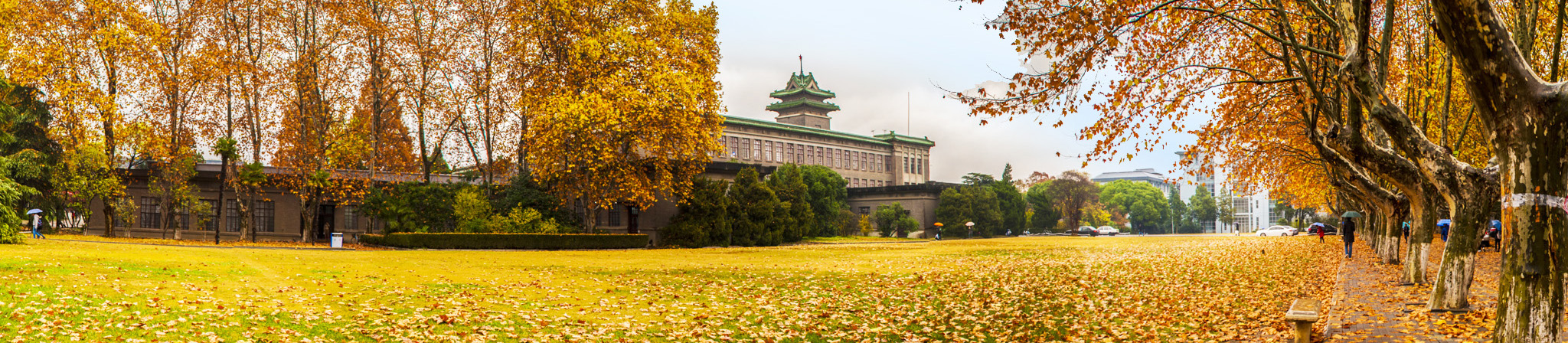 南京农业大学，历史底蕴与现代风采的碰撞与交融